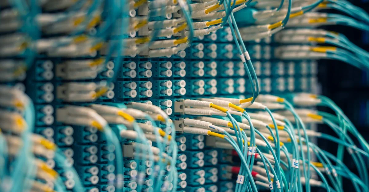 Primer plano de cables de red de datos conectados a un panel de conexiones en una sala de servidores.