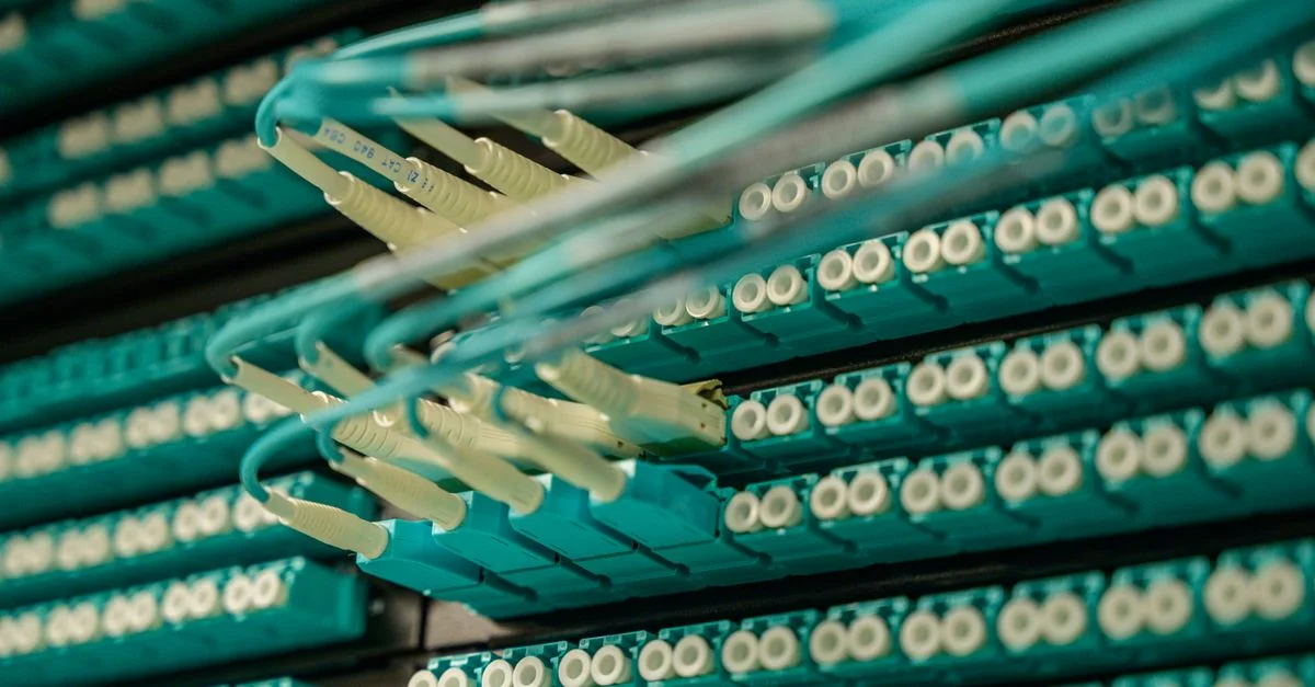 Vista detallada de cables de fibra óptica conectados a un rack de servidores, mostrando la tecnología moderna.